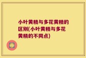 小叶黄精与多花黄精的区别(小叶黄精与多花黄精的不同点)