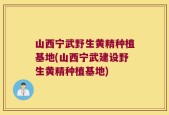山西宁武野生黄精种植基地(山西宁武建设野生黄精种植基地)