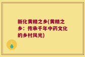 新化黄精之乡(黄精之乡：传承千年中药文化的乡村风光)
