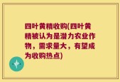 四叶黄精收购(四叶黄精被认为是潜力农业作物，需求量大，有望成为收购热点)