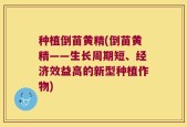 种植倒苗黄精(倒苗黄精——生长周期短、经济效益高的新型种植作物)