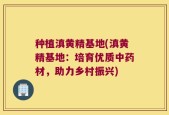 种植滇黄精基地(滇黄精基地：培育优质中药材，助力乡村振兴)