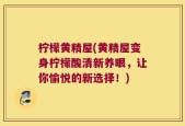 柠檬黄精屋(黄精屋变身柠檬酸清新养眼，让你愉悦的新选择！)