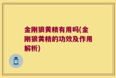 金刚狼黄精有用吗(金刚狼黄精的功效及作用解析)