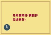 冬天黄精杆(黄精杆 走进寒冬)