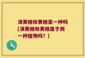 滇黄精和黄精是一种吗(滇黄精和黄精属于同一种植物吗？)