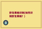 野生黄精识别(如何识别野生黄精？)