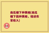 南瓜棚下种黄精(南瓜棚下栽种黄精，增进农家收入)
