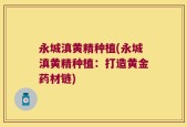 永城滇黄精种植(永城滇黄精种植：打造黄金药材链)