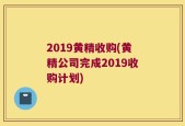 2019黄精收购(黄精公司完成2019收购计划)