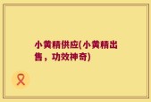 小黄精供应(小黄精出售，功效神奇)