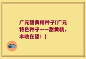广元甜黄精种子(广元特色种子——甜黄精，丰收在望！)