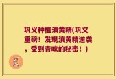 巩义种植滇黄精(巩义重磅！发现滇黄精逆袭，受到青睐的秘密！)