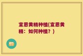 宣恩黄精种植(宣恩黄精：如何种植？)