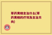 草药黄精主治什么(草药黄精的疗效及主治方向)