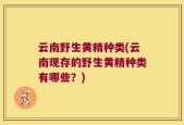 云南野生黄精种类(云南现存的野生黄精种类有哪些？)