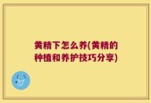黄精下怎么养(黄精的种植和养护技巧分享)
