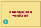 川黄精药材图(川黄精：神奇的药用植物)