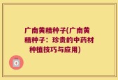 广南黄精种子(广南黄精种子：珍贵的中药材  种植技巧与应用)
