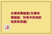 大理州黄精苗(大理州黄精苗：珍贵中药材的培育和发展)