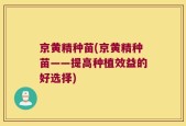 京黄精种苗(京黄精种苗——提高种植效益的好选择)