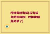 种植黄精海拔(从海拔高地到庭院：种植黄精变简单了)