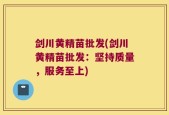 剑川黄精苗批发(剑川黄精苗批发：坚持质量，服务至上)