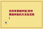 怎样育黄精种苗(育种黄精种苗的方法及实践)