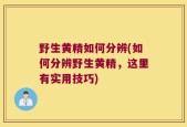 野生黄精如何分辨(如何分辨野生黄精，这里有实用技巧)