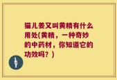 猫儿姜又叫黄精有什么用处(黄精，一种奇妙的中药材，你知道它的功效吗？)