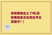 清明黄精出土了吗(清明黄精是否出现在考古发掘中？)