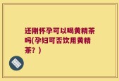 还刚怀孕可以喝黄精茶吗(孕妇可否饮用黄精茶？)