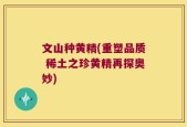 文山种黄精(重塑品质 稀土之珍黄精再探奥妙)