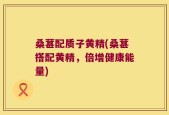 桑葚配质子黄精(桑葚搭配黄精，倍增健康能量)