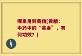哪里用到黄精(黄精：中药中的“黄金”，有何功效？)