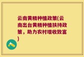 云南黄精种植政策(云南出台黄精种植扶持政策，助力农村增收致富)