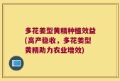 多花姜型黄精种植效益(高产稳收，多花姜型黄精助力农业增效)