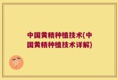 中国黄精种植技术(中国黄精种植技术详解)