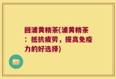 回浦黄精茶(浦黄精茶：抵抗疲劳，提高免疫力的好选择)