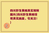 四川野生黄精真实视频图片(四川野生黄精惊现真实画面，引关注！)