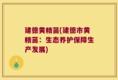 建德黄精苗(建德市黄精苗：生态养护保障生产发展)
