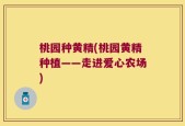 桃园种黄精(桃园黄精种植——走进爱心农场)