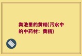 粪池里的黄精(污水中的中药材：黄精)