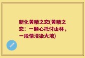 新化黄精之恋(黄精之恋：一颗心托付山林，一段情浸染大地)