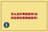 怎么选好黄精苗种(如何选择优质黄精苗种)