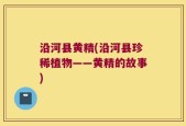 沿河县黄精(沿河县珍稀植物——黄精的故事)