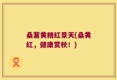 桑葚黄精红景天(桑黄红，健康赏秋！)