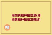 湖南黄精种植信息(湖南黄精种植情况概述)