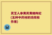 灵芝人参黄芪黄精枸杞(五种中药材的功效和作用)