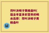 荷叶决明子黄精桑叶(蕴含丰富多彩营养的喝水选择：荷叶决明子黄精桑叶